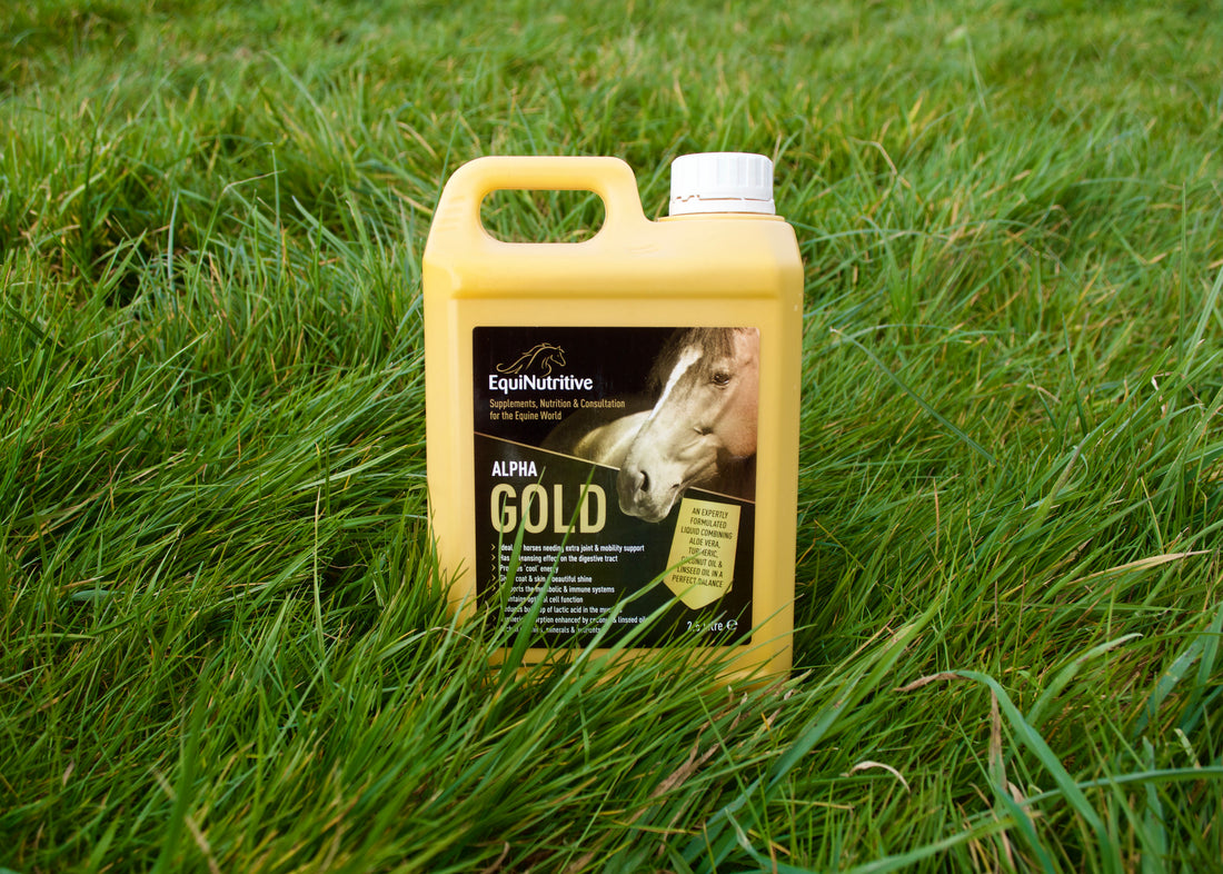 Difference in Fats for Horses