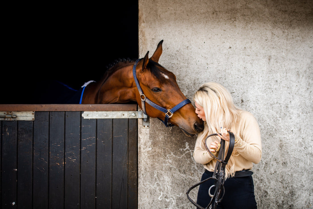 Why Calmers Don’t Work / Does My Horse Need a Calmer?