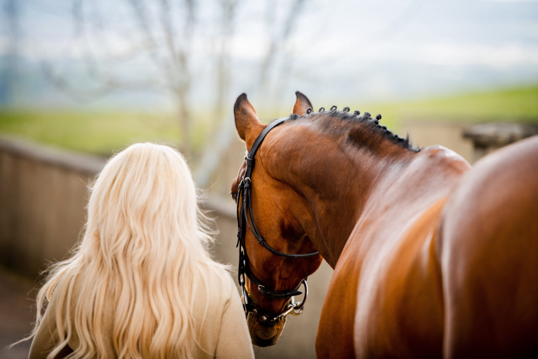 Supporting Ageing Horses