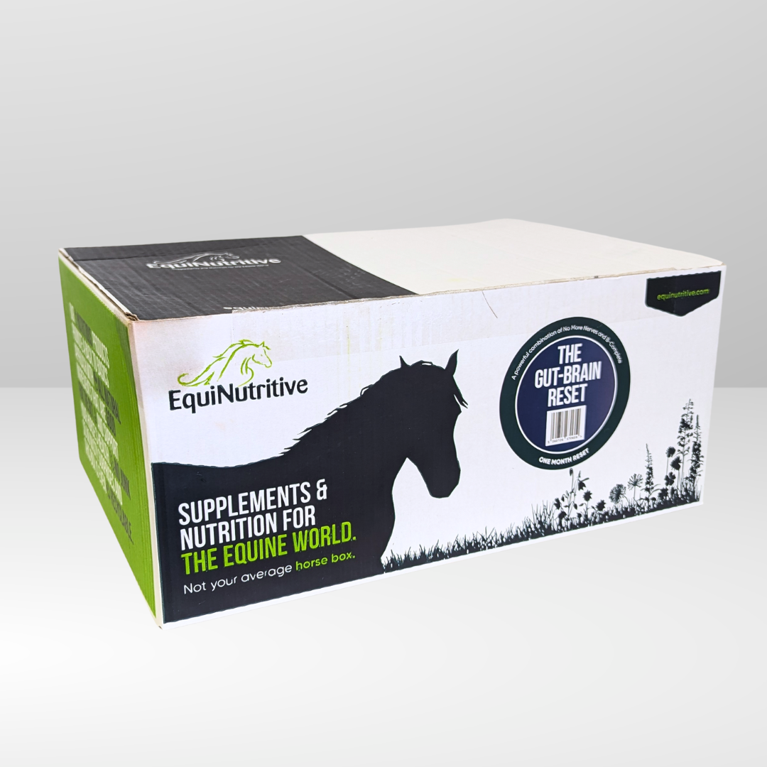 The Gut-Brain Reset – Equinutritive