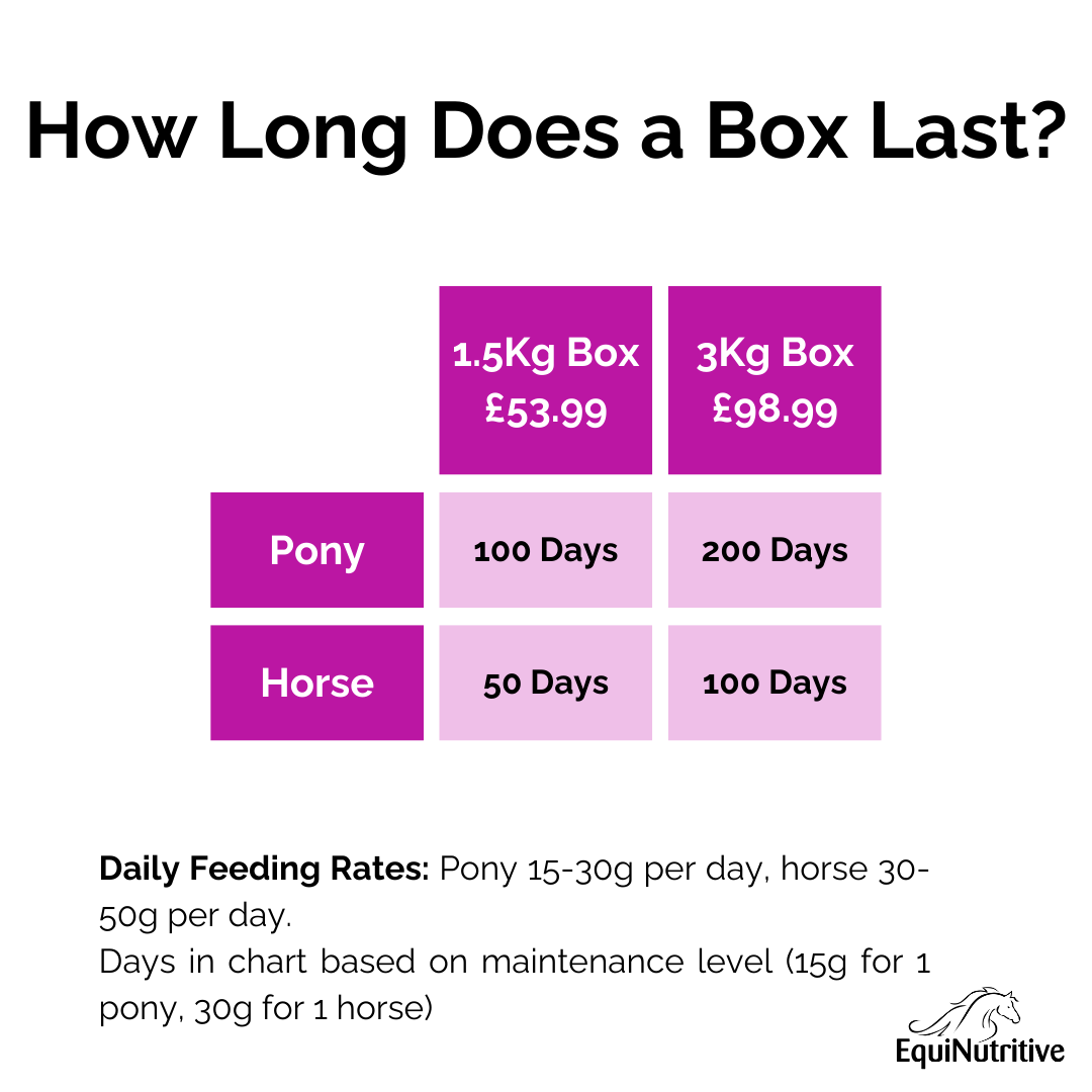 Lymph Assist - Lymphatic Support Supplement For Horses