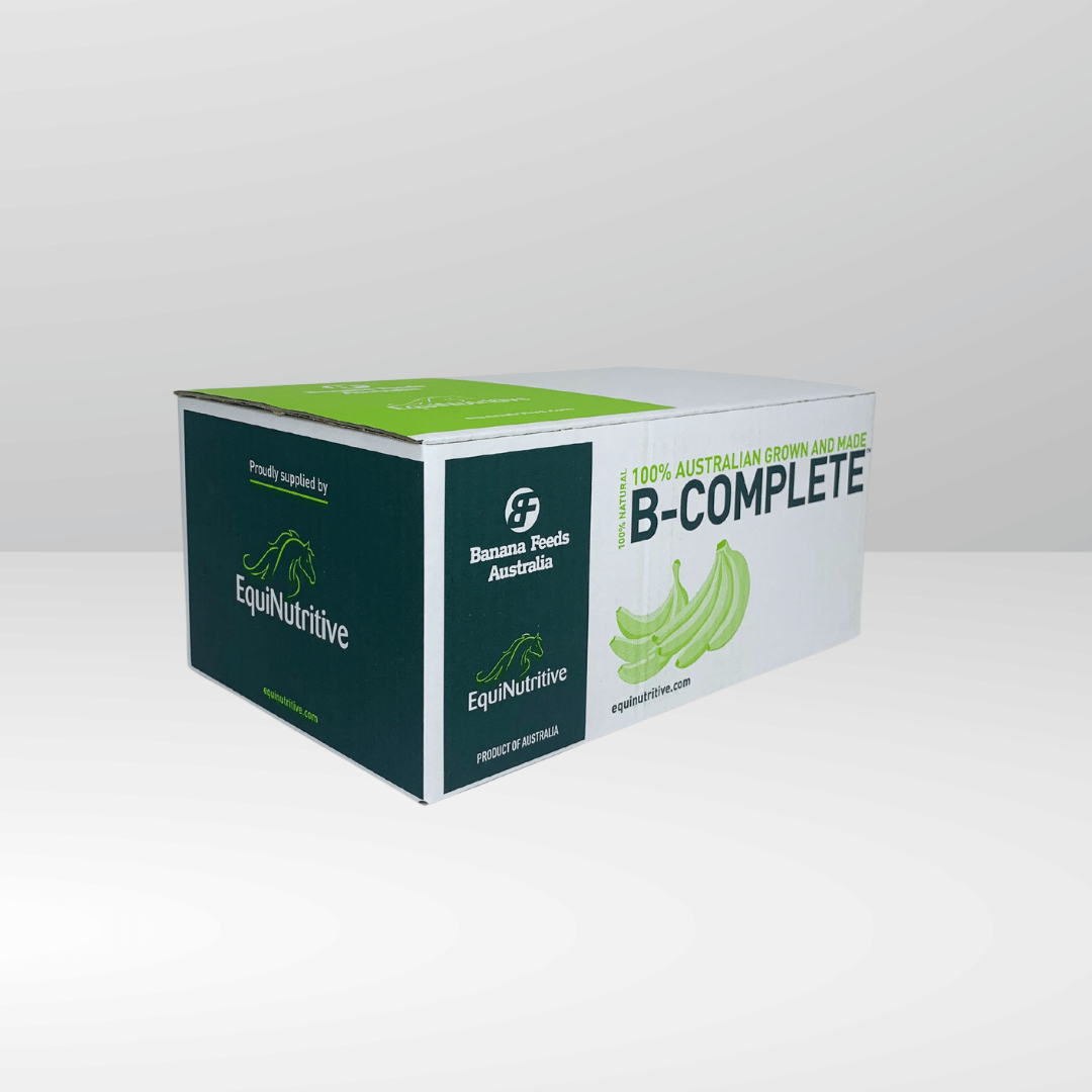 B-Complete: Best Gut Support For Horses