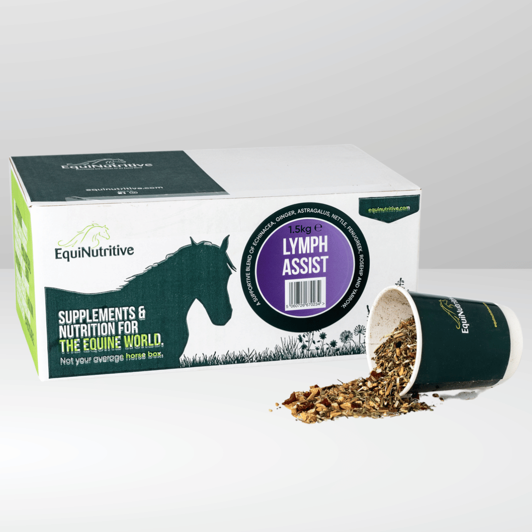 Lymph Assist - Lymphatic Supplement For Horses – Equinutritive