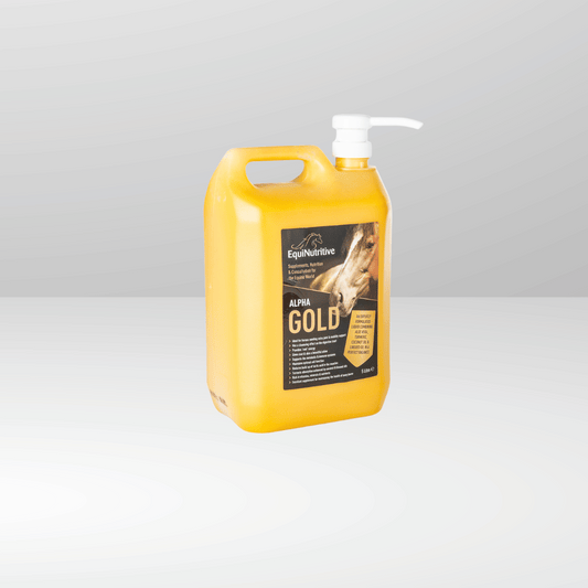 Alpha Gold - Best joint supplement for horses