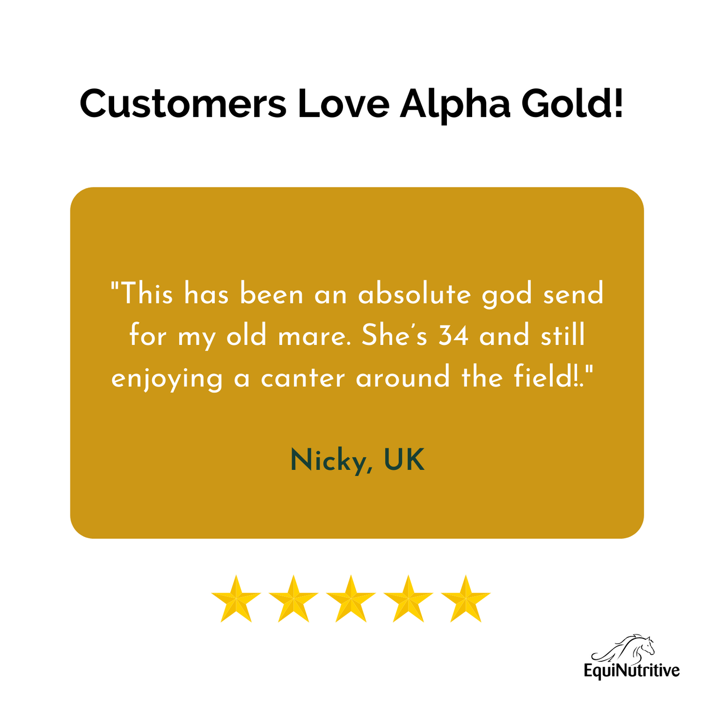 Alpha Gold - Best joint supplement for horses