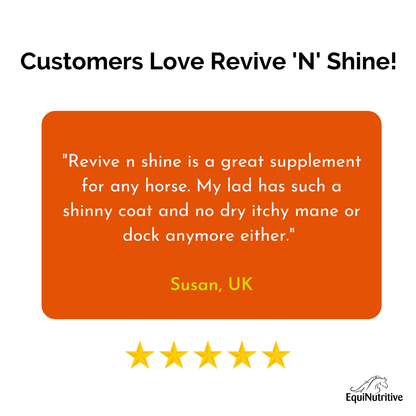Revive ’n’ Shine: Best Skin & Coat Supplement for Horses