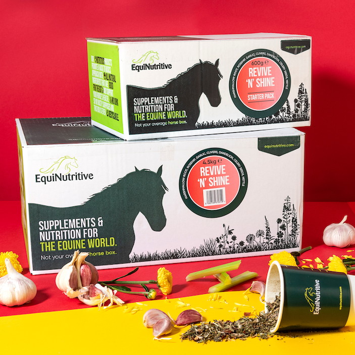 Revive ’n’ Shine: Best Skin & Coat Supplement for Horses