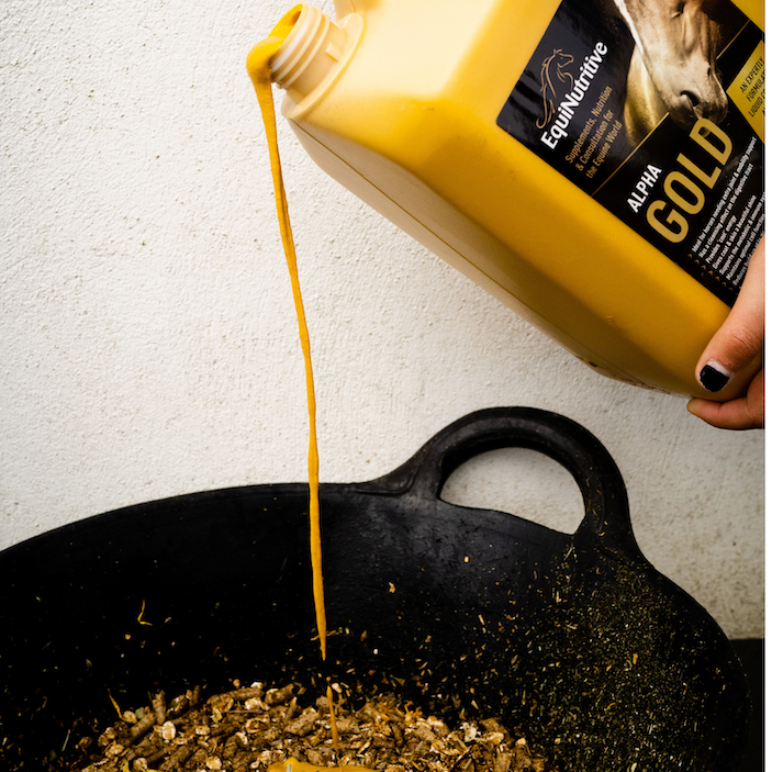 Alpha Gold - Best joint supplement for horses