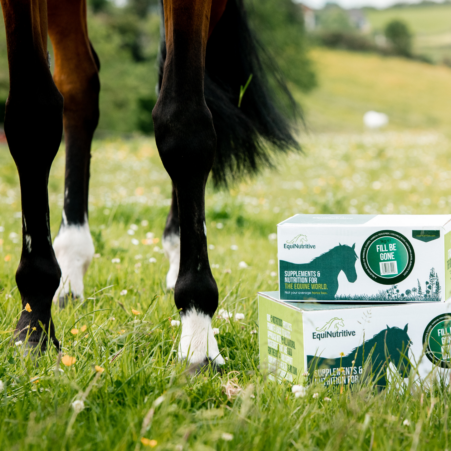 Fill Be Gone Leg Supplement