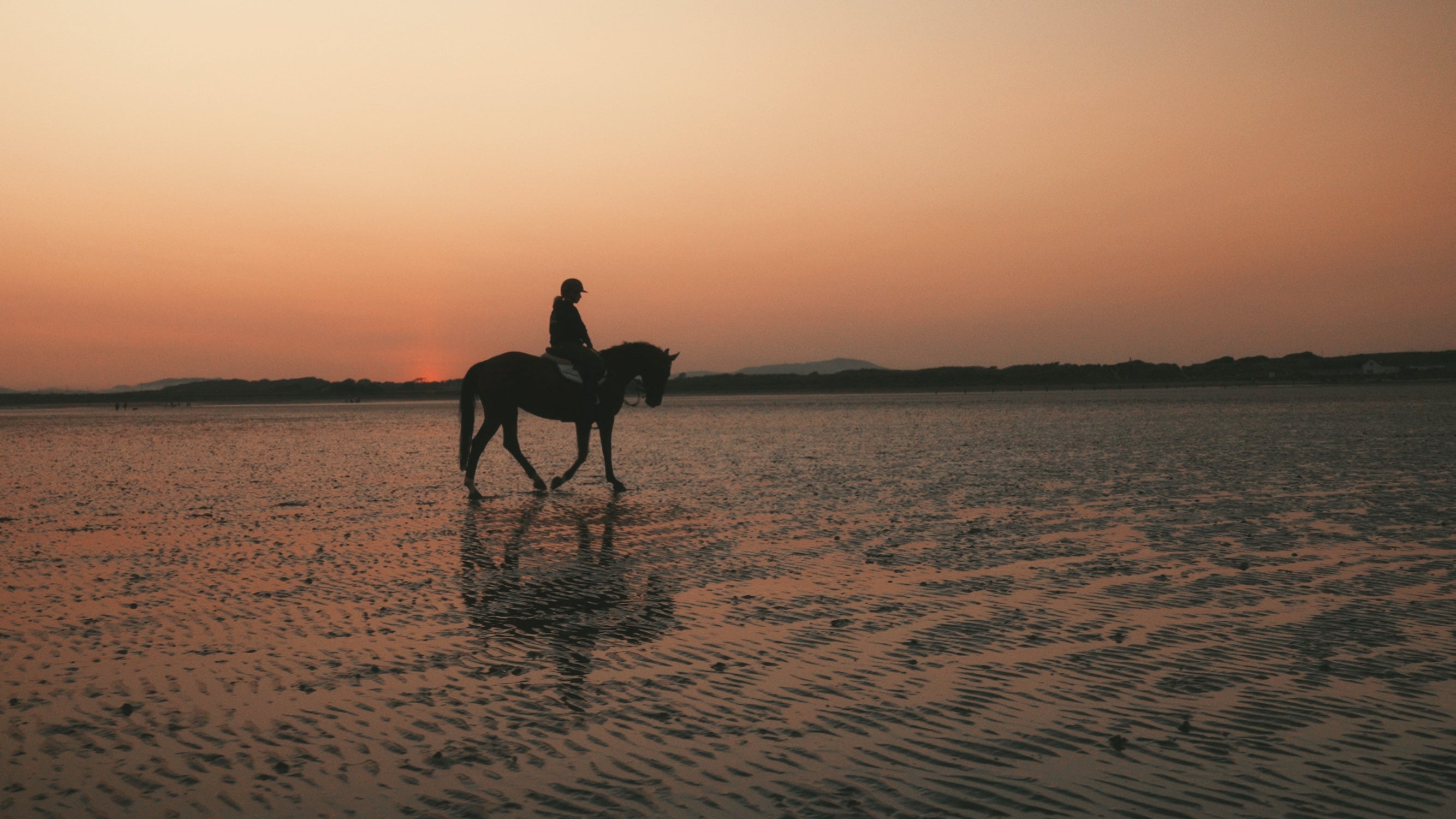 Feeding the Laminitic Horse: Rethinking Starvation Image