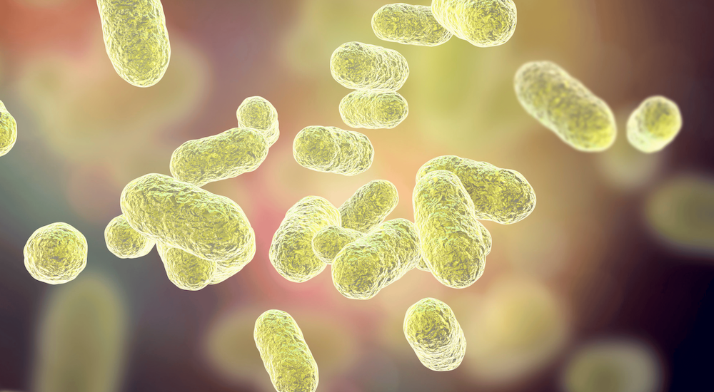 Balancing the microbiome Image