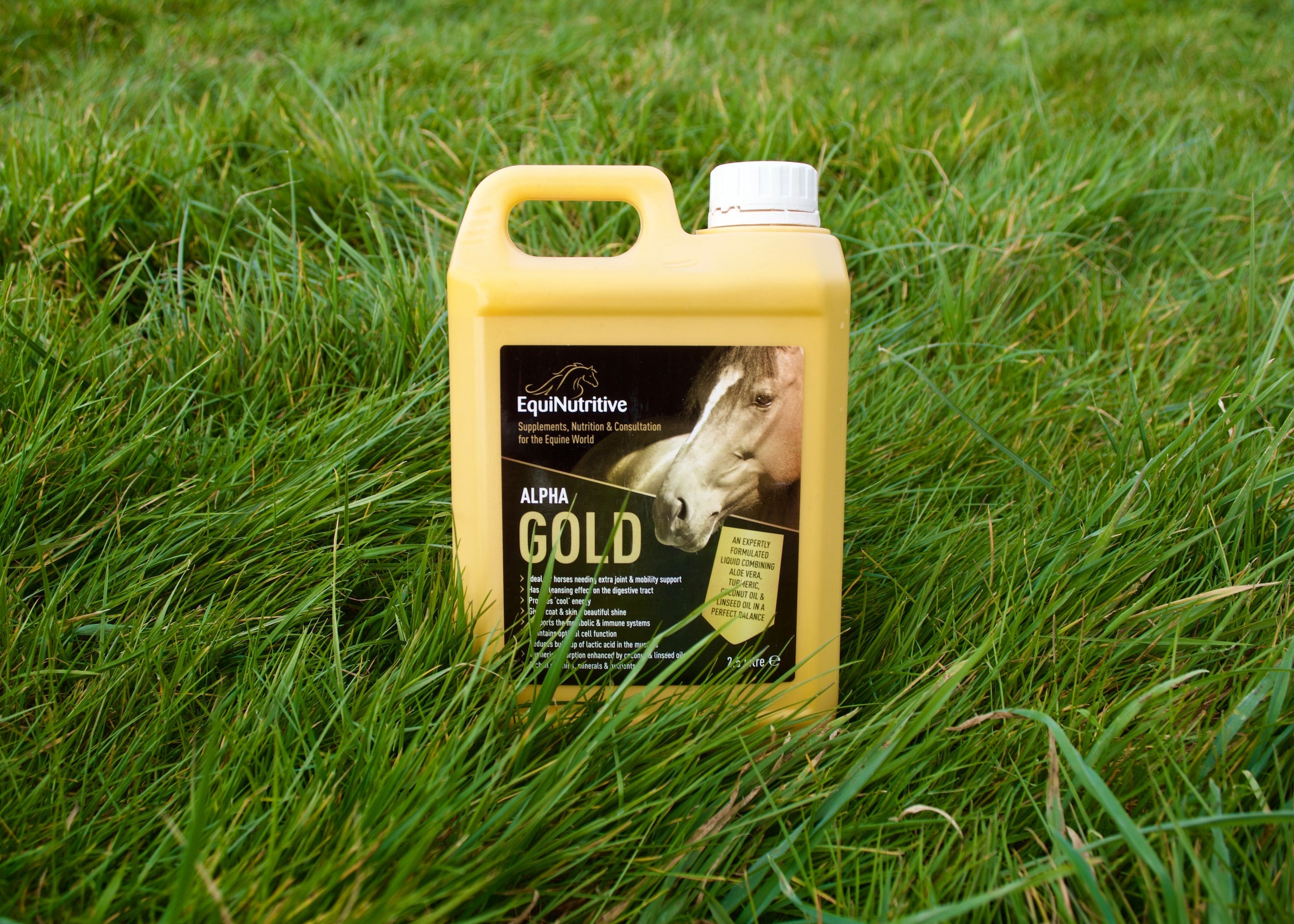 Difference in Fats for Horses Image