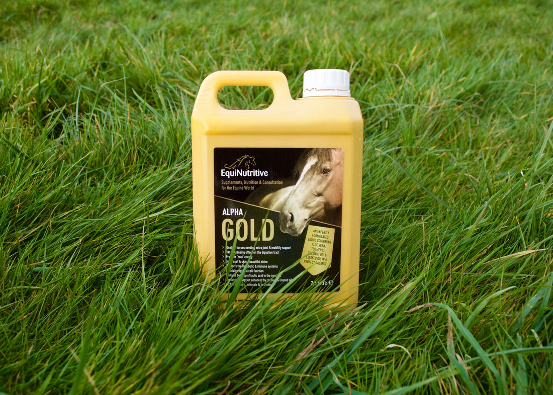 Difference in Fats for Horses