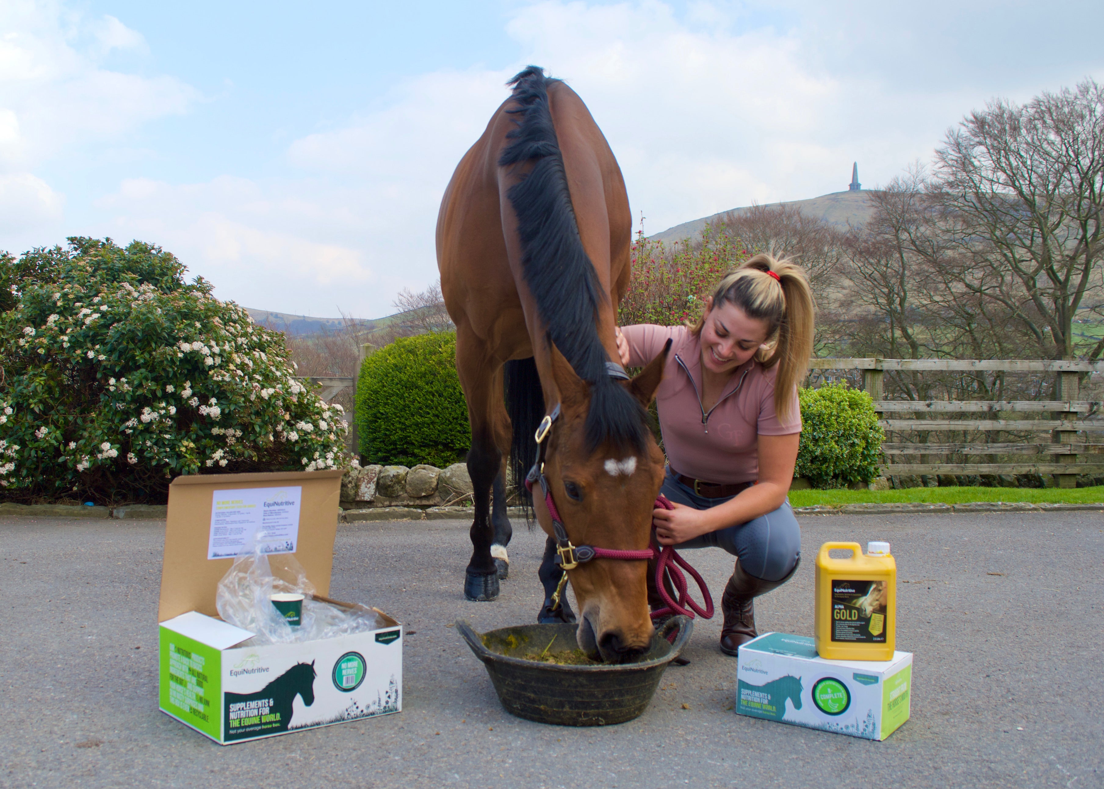 Plant Power - Harnessing Nature to Support Horse Health Image