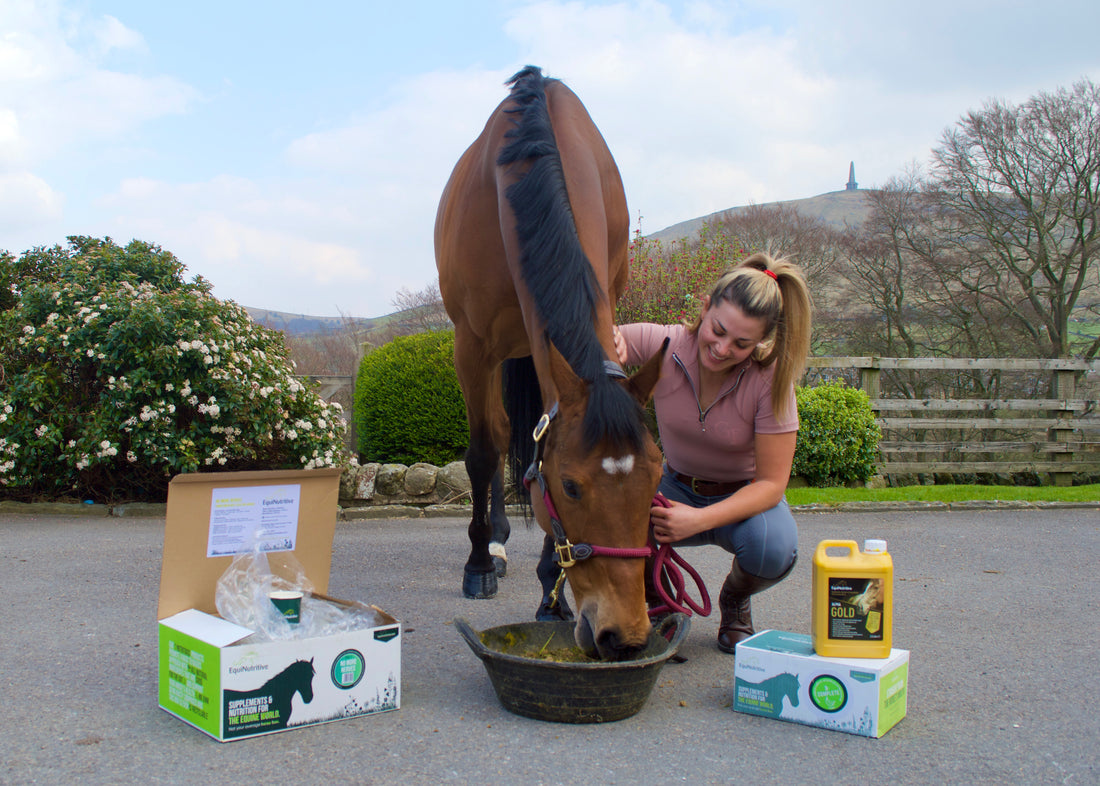 Plant Power - Harnessing Nature to Support Horse Health