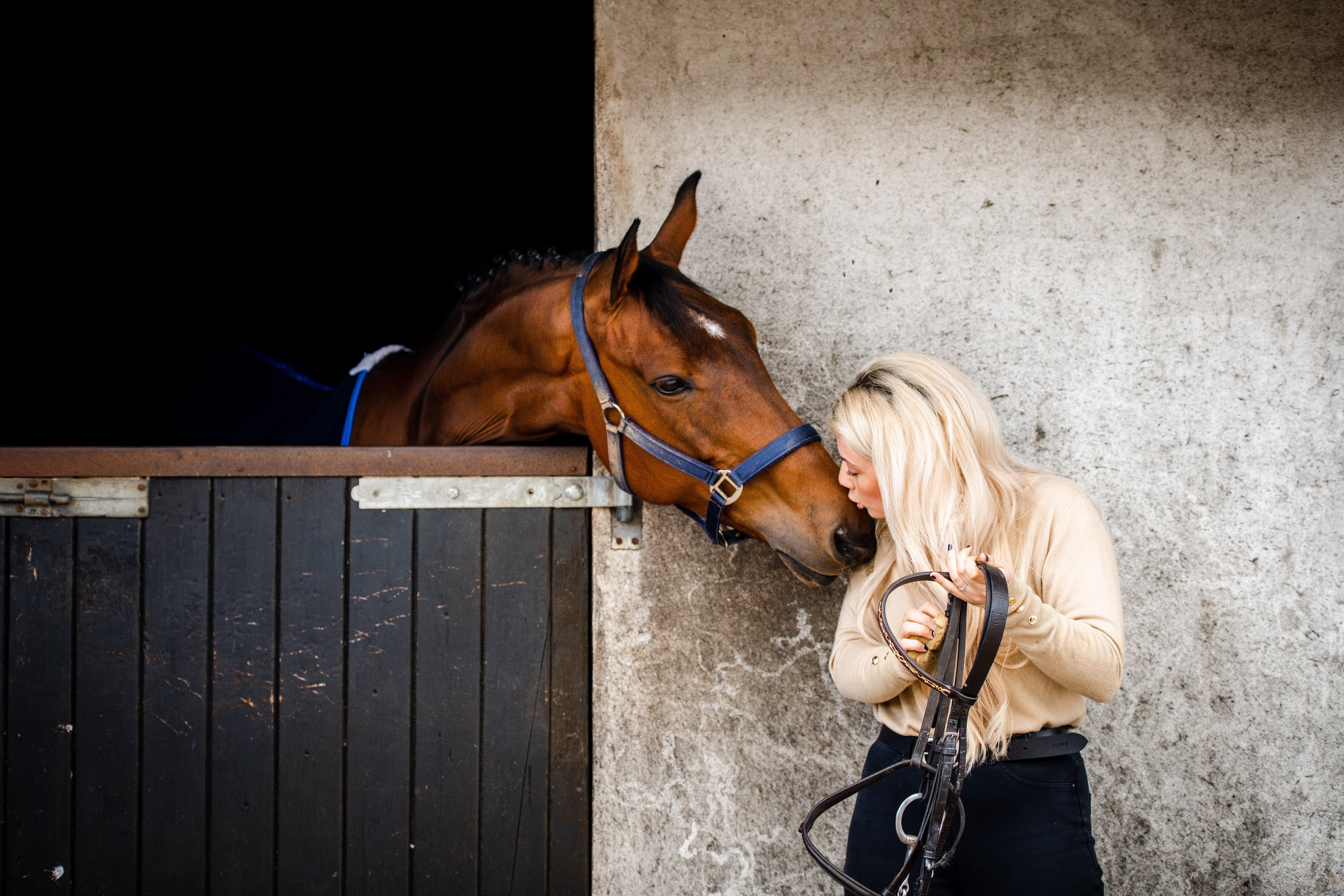 Why Calmers Don’t Work / Does My Horse Need a Calmer? Image
