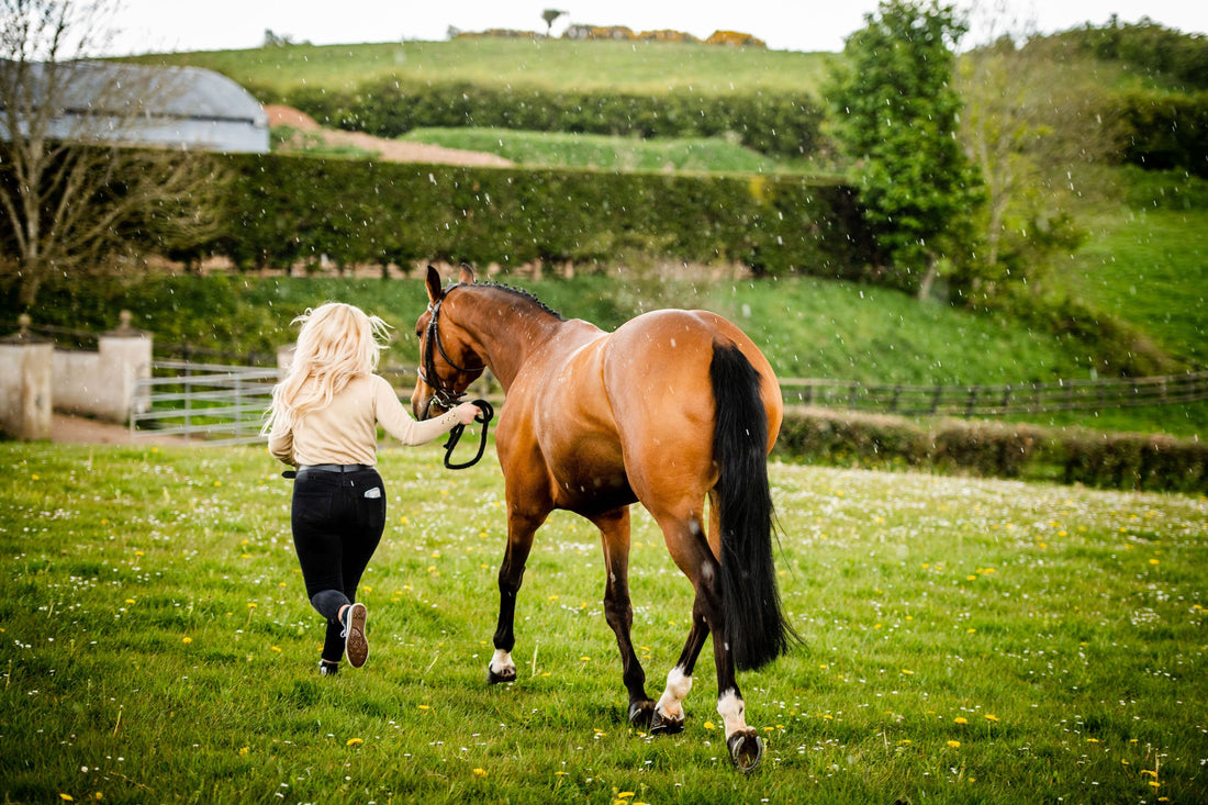 Gastric Ulcers - A Pain in the Gut!