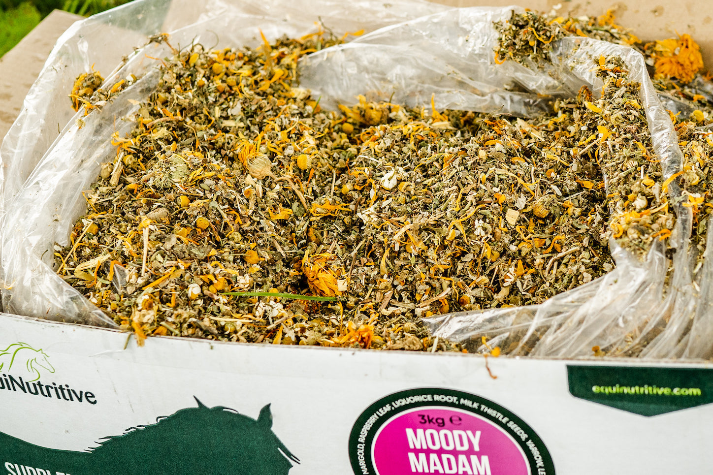 The Health of Yarrow Image