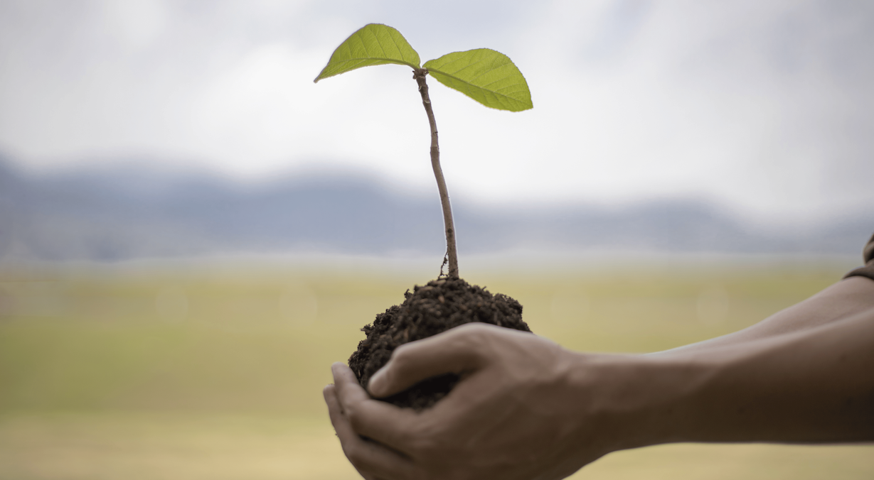 The Environmental Impacts of Black Friday and Why We Don't Take Part Image