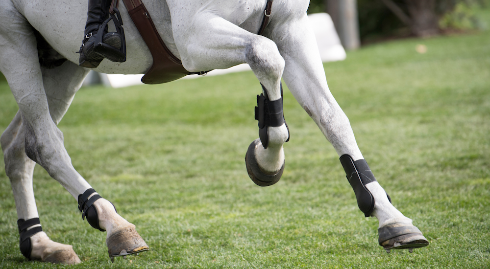 Preventing Injury of Tendons & Ligaments Image