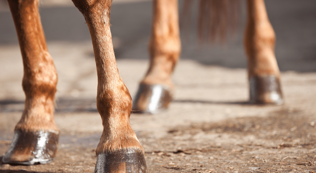 Let's Talk Lymphangitis Image