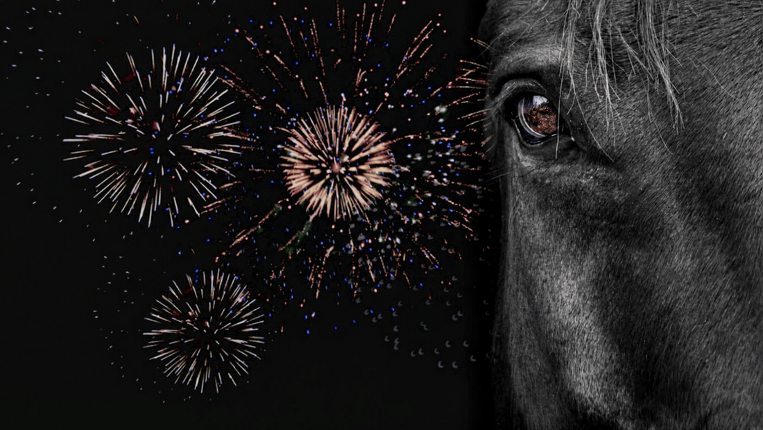 Horses and Fireworks: Your Guide to a Calmer Autumn and Winter Season