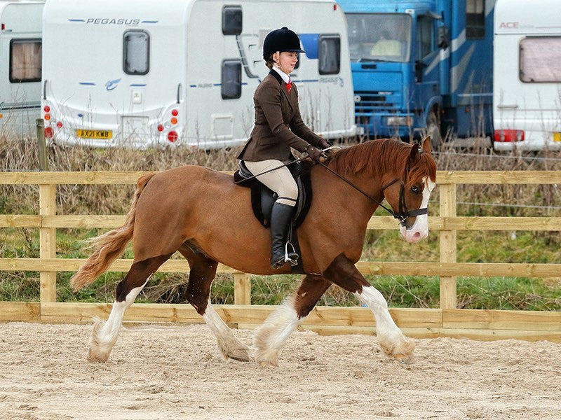 Feeding before and during Travel