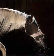 How to Handle Coughing Image