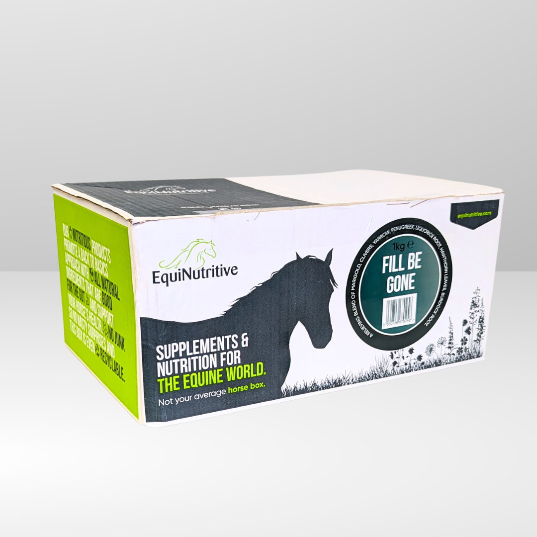 Horse Supplements for Legs