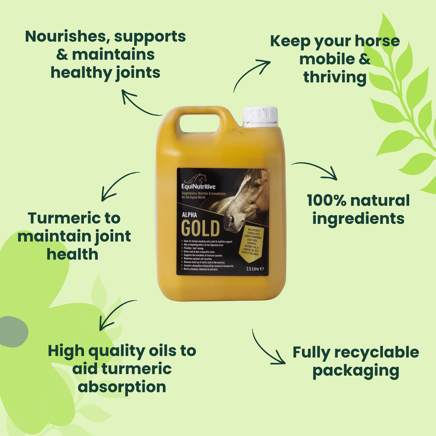 Alpha Gold - Best joint supplement for horses