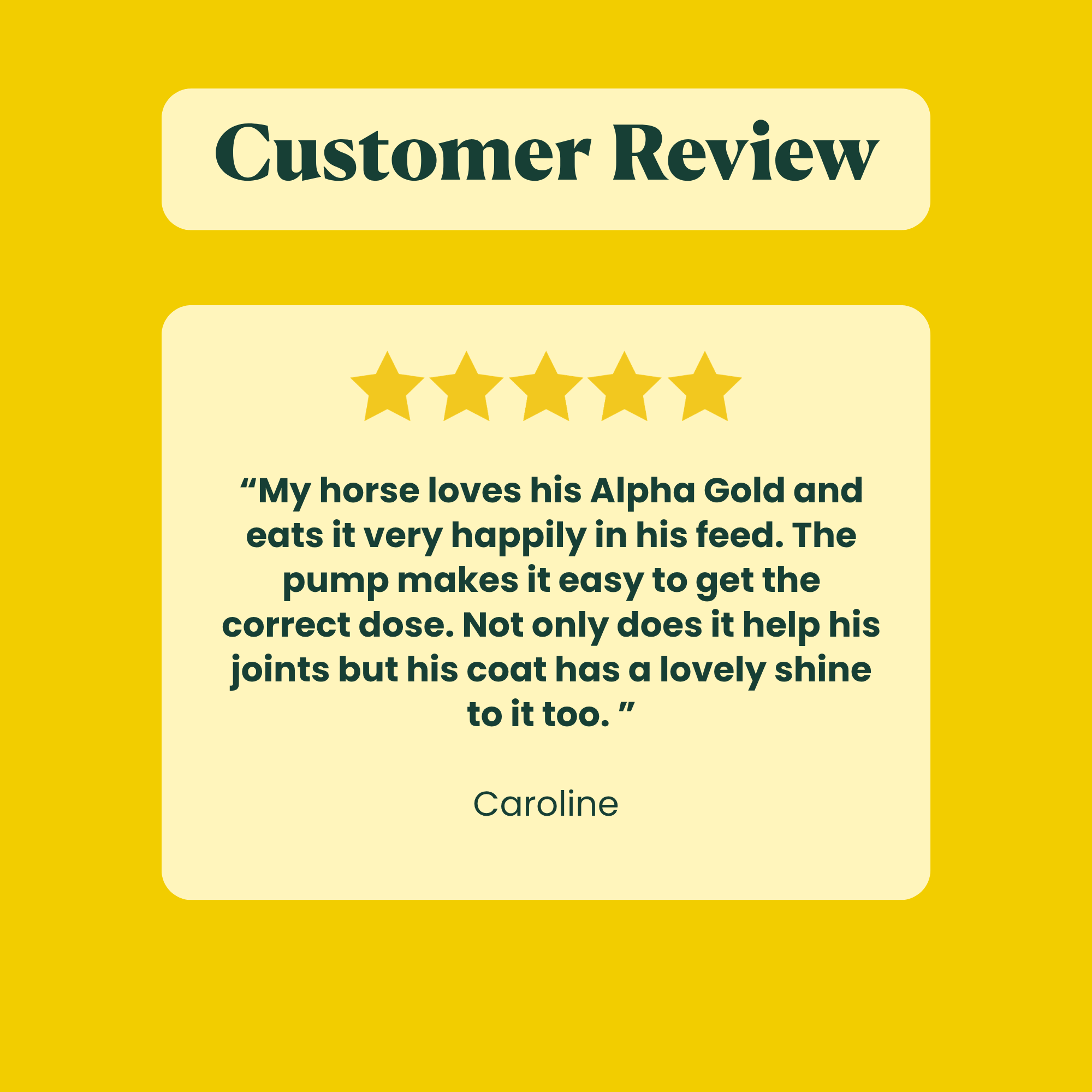 Alpha Gold - Best joint supplement for horses