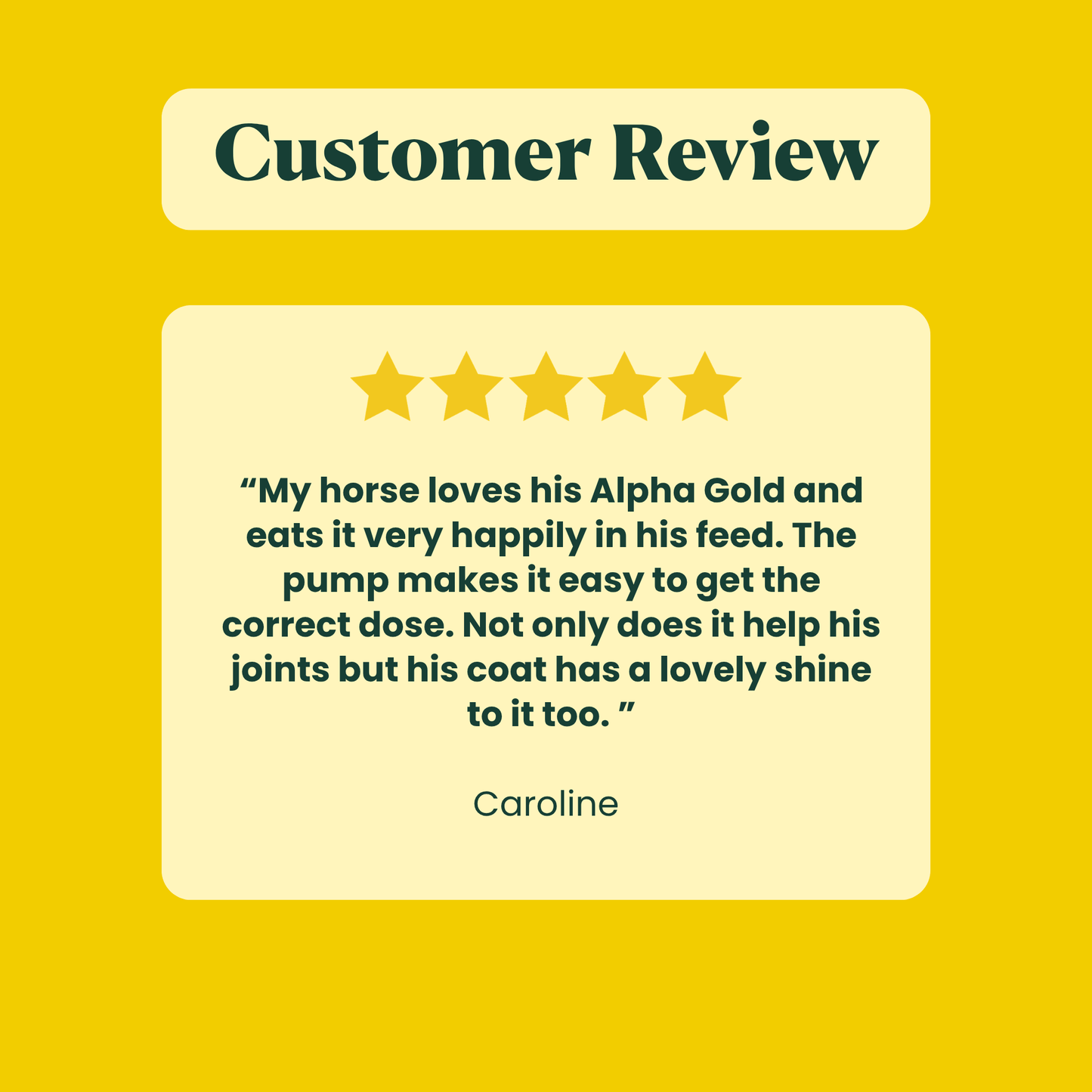 Alpha Gold - Best joint supplement for horses