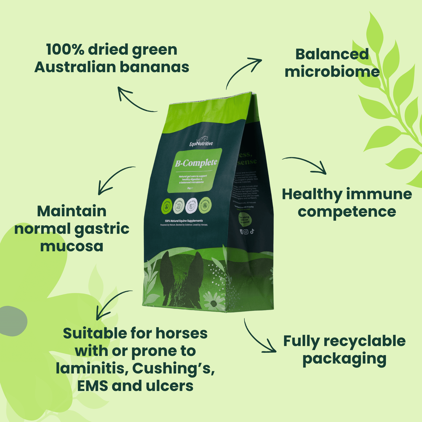 B-Complete: Best Gut Support For Horses