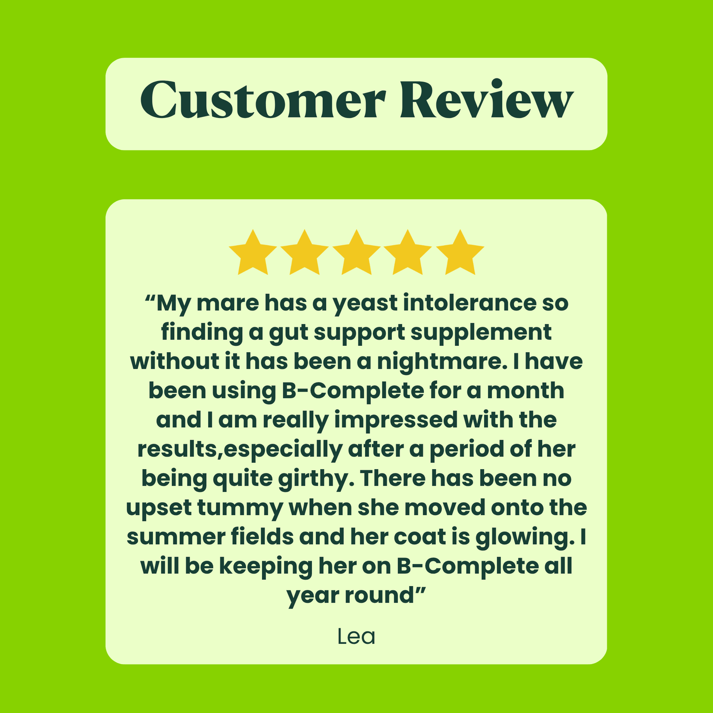 B-Complete: Best Gut Support For Horses
