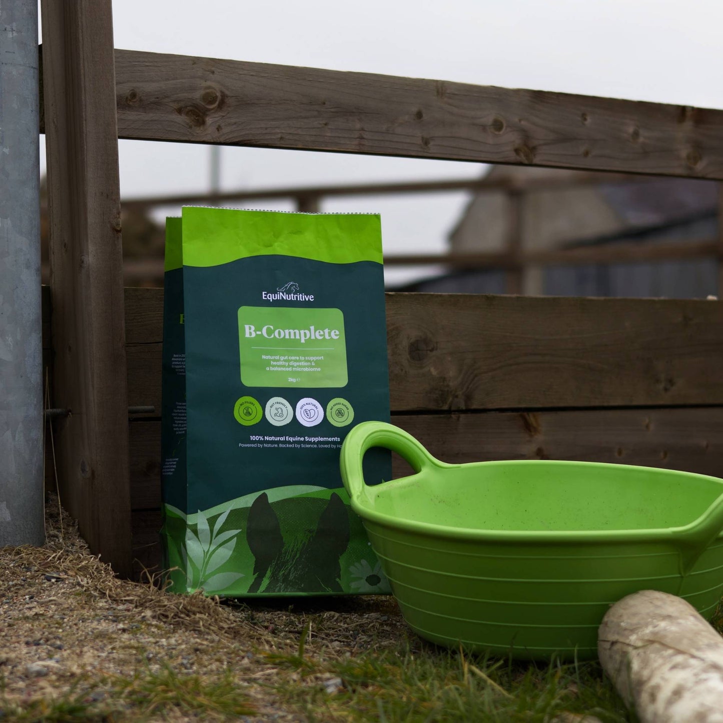 B-Complete: Best Gut Support For Horses