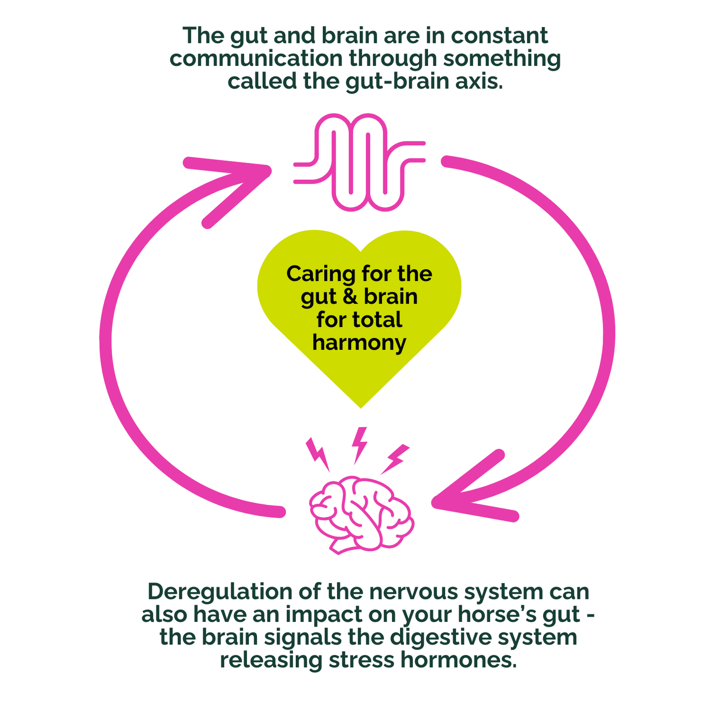 The Gut-Brain Reset