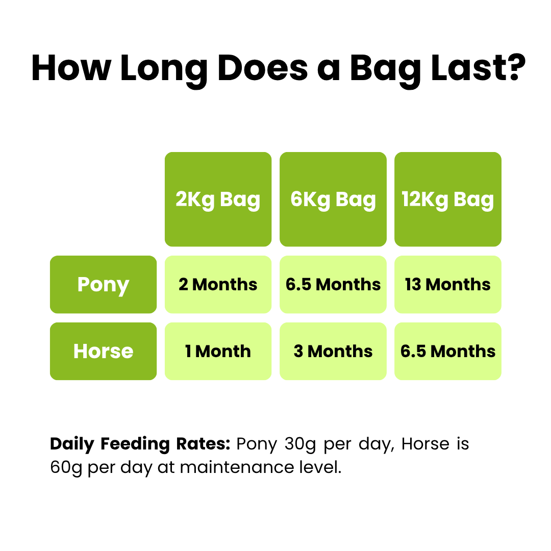 B-Complete: Best Gut Support For Horses