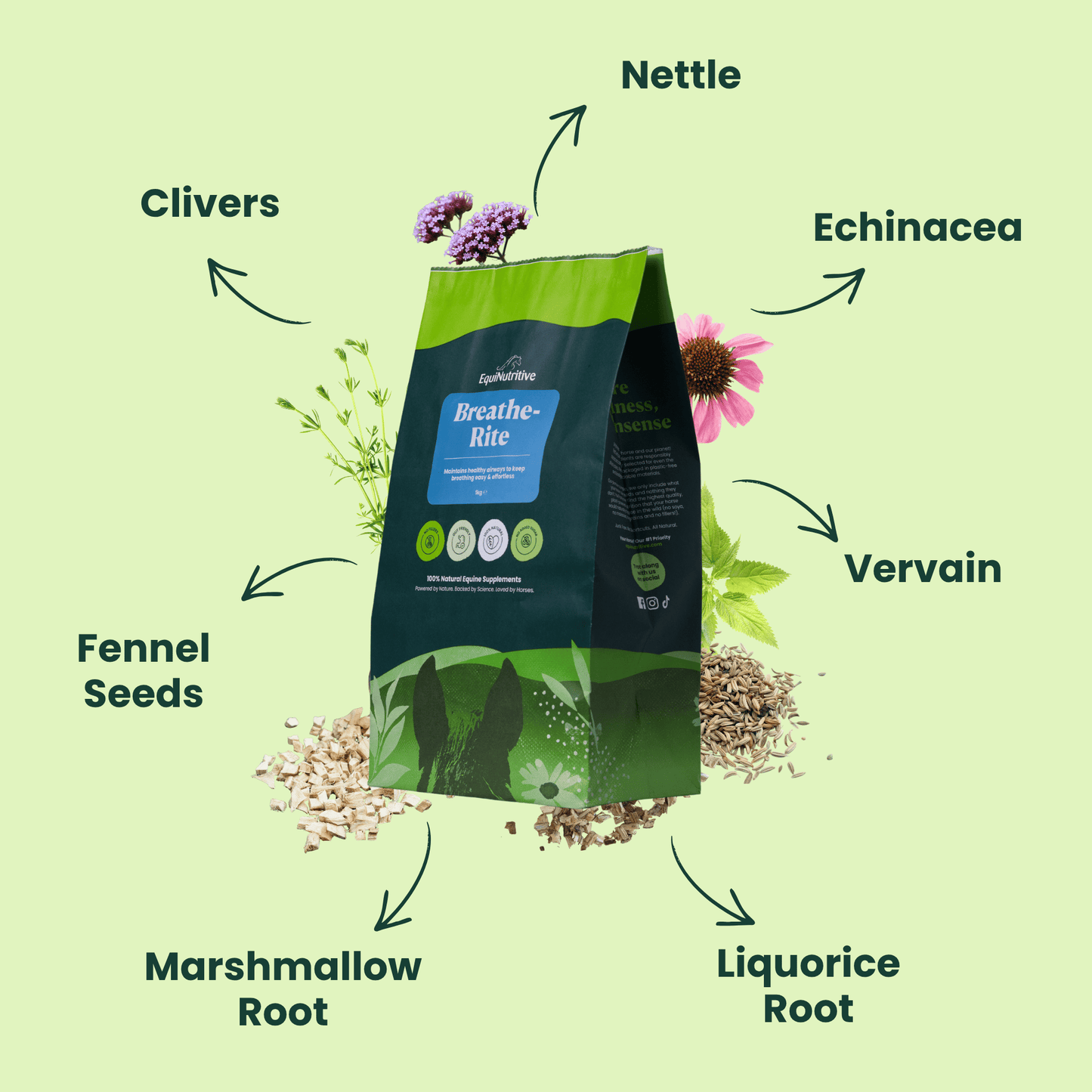 Breathe-Rite: Best Respiratory Supplement