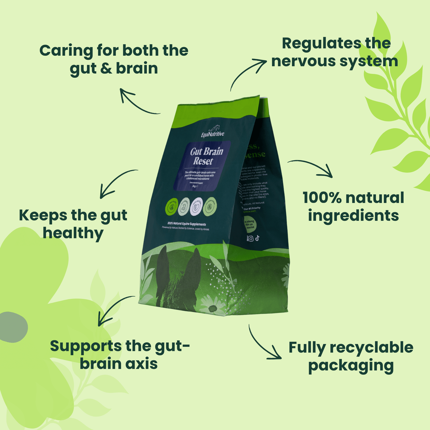 The Gut-Brain Reset