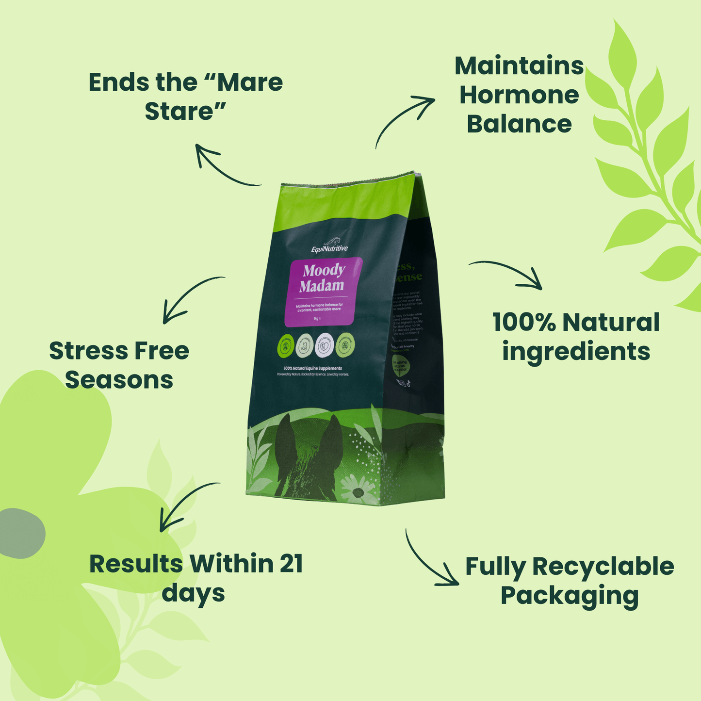 Moody Madam - Supplement for Mares