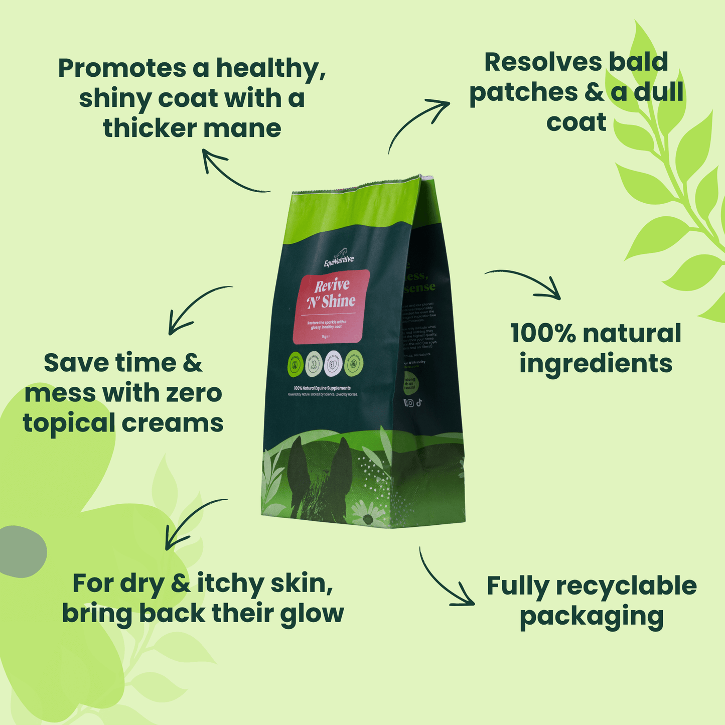 Revive ’n’ Shine: Best Skin & Coat Supplement for Horses