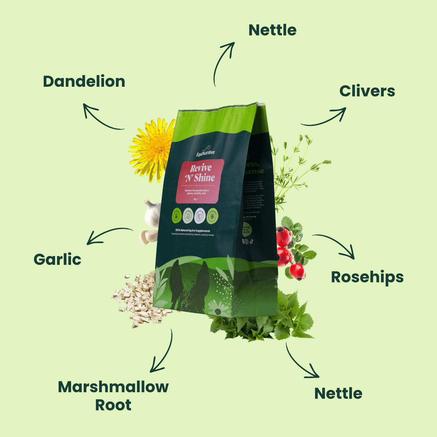 Revive ’n’ Shine: Best Skin & Coat Supplement for Horses