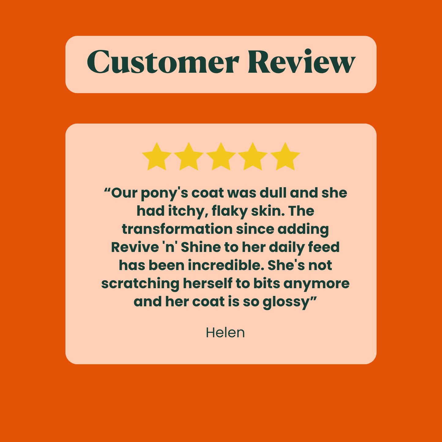 Revive ’n’ Shine: Best Skin & Coat Supplement for Horses