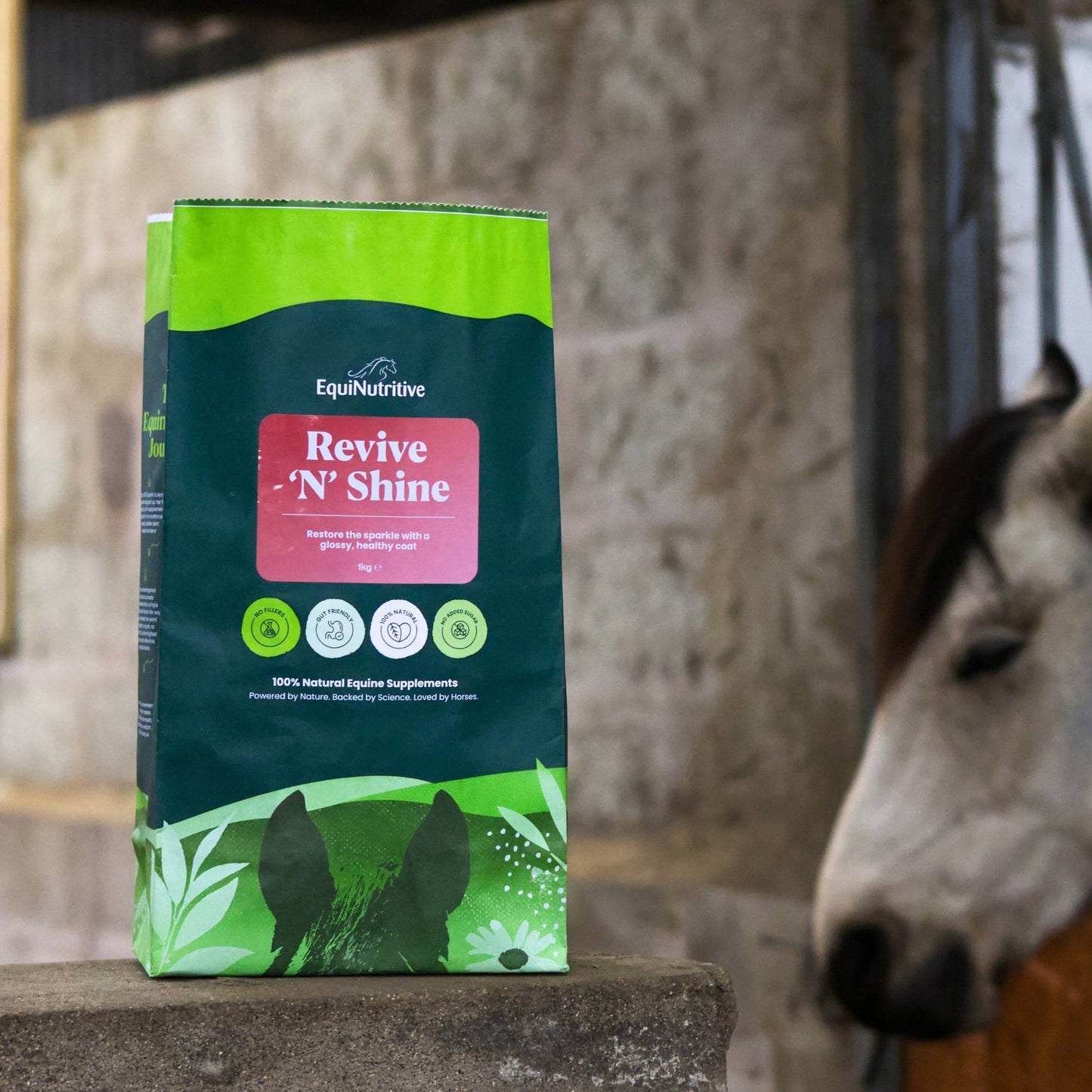 Revive ’n’ Shine: Best Skin & Coat Supplement for Horses