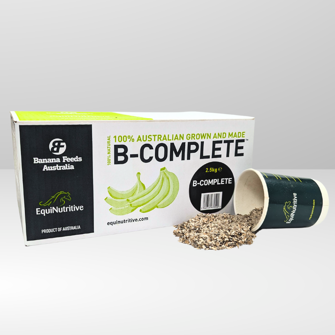 B-Complete: Best Gut Support For Horses