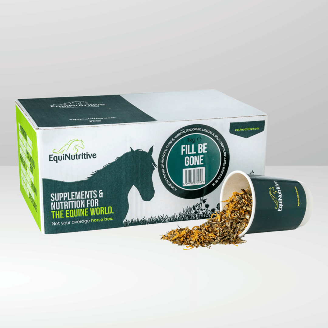 Fill Be Gone Leg Supplement