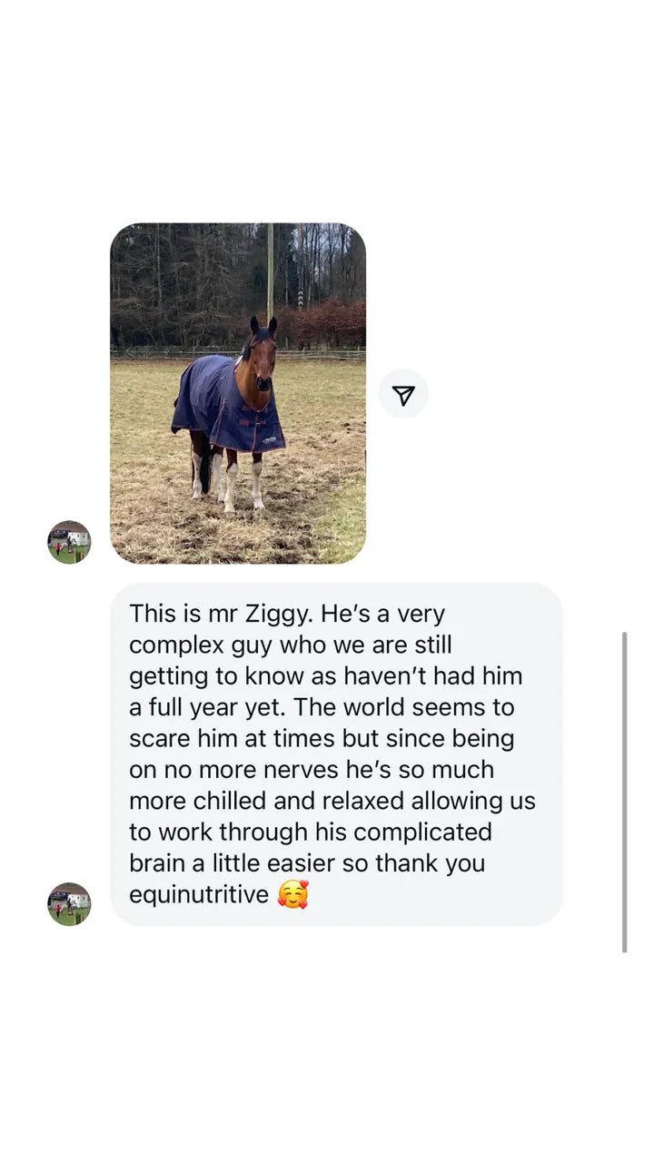 Customer Instagram message about No More Nerves