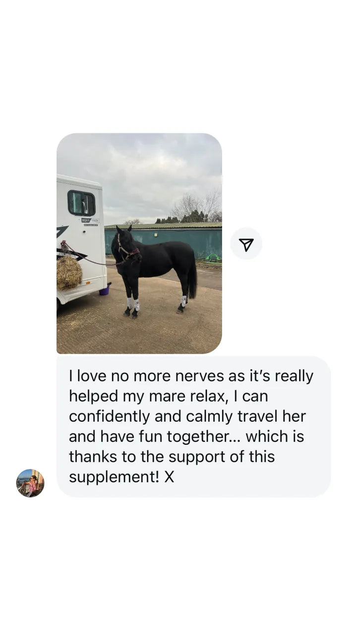 Customer Instagram message