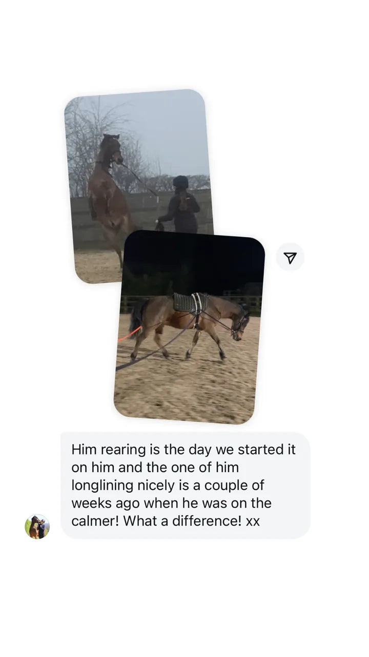 Customer Instagram message