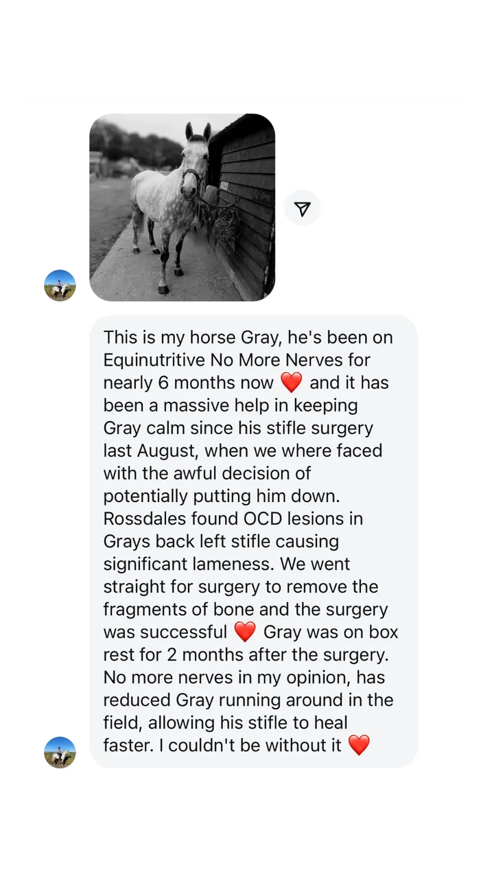 Customer Instagram message